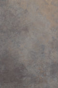 Fossil #1