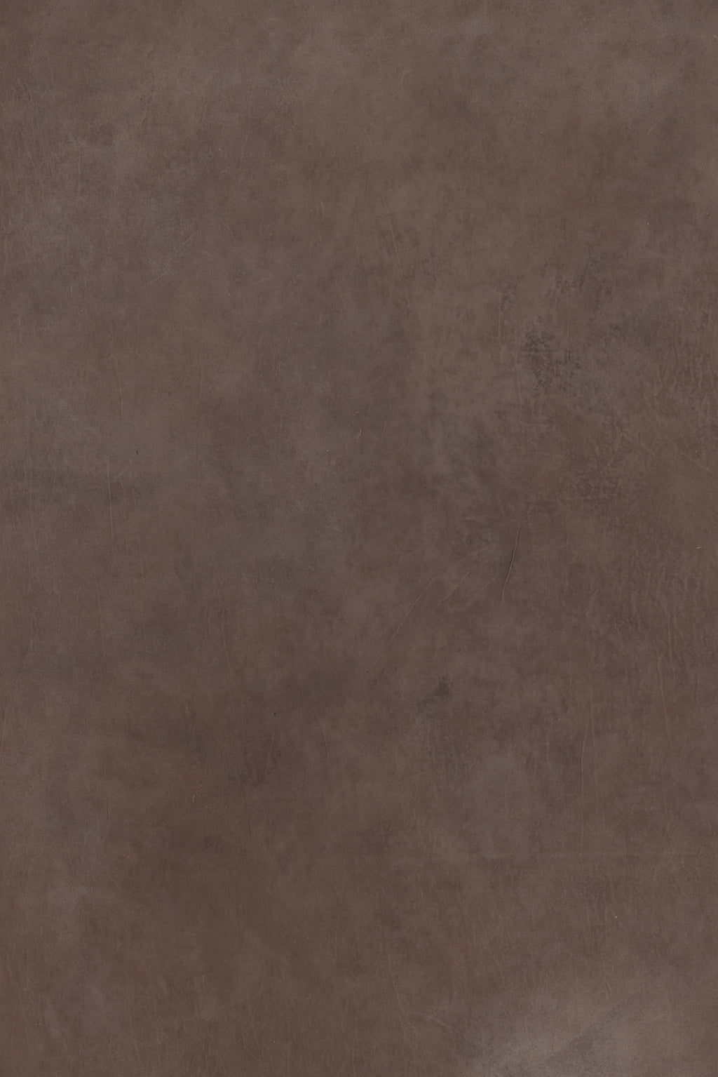 Hickory #1