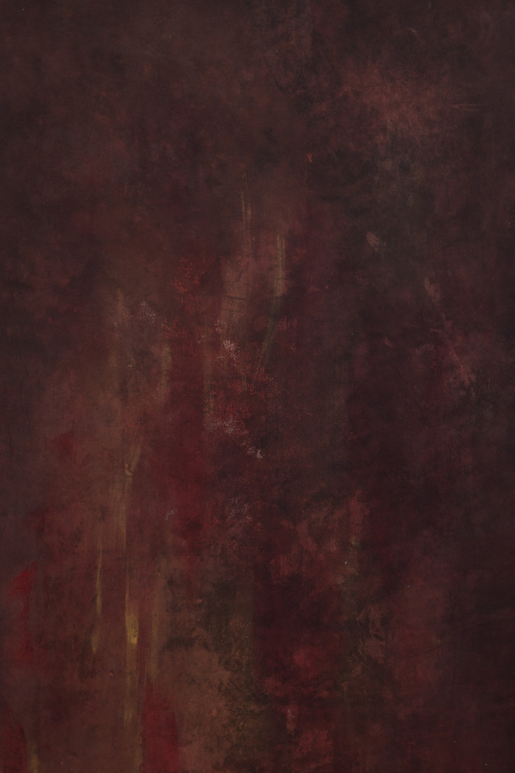 Shiraz #1